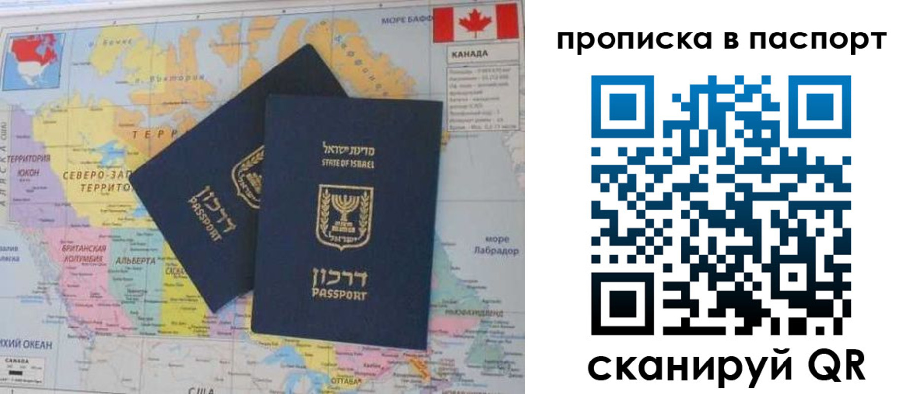 временная регистрация гарантия в Ленинградской области
